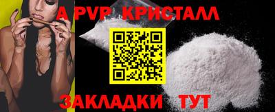 прущие грибы Ирбит