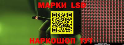 прущие грибы Ирбит