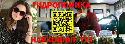 прущие грибы Ипатово