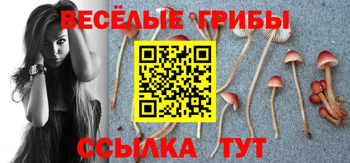 Псилоцибиновые грибы GOLDEN TEACHER  Вход с VPN  купить  сайты  Лесозаводск 